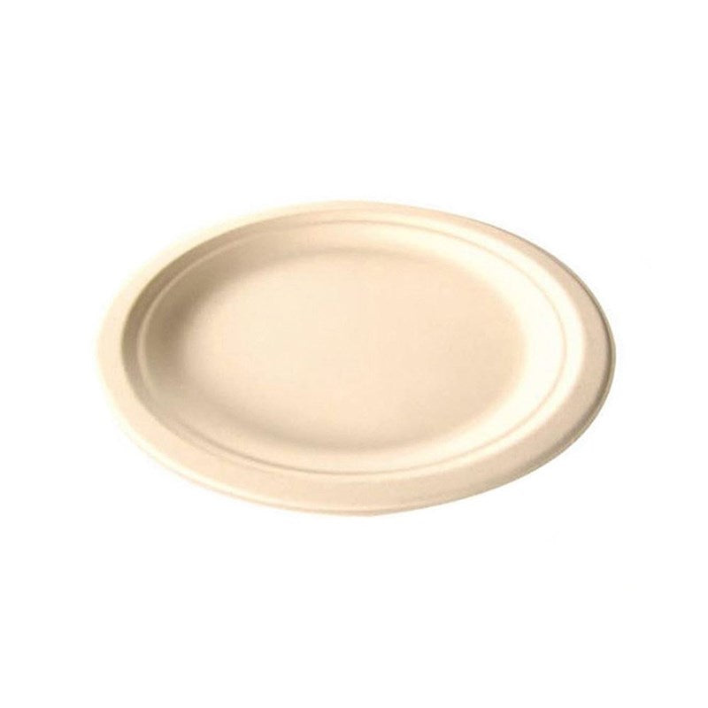 Large Disposable Plate